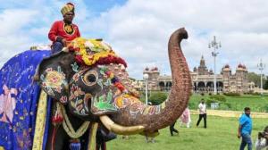 ಅಂಬಾರಿ ಹೊರುವ ಕೆಲಸದಿಂದ ಅಭಿಮನ್ಯುವಿಗೆ ನಿವೃತ್ತಿ; ಗಜಪಡೆಯ ಪಟ್ಟಿ ಬಿಡುಗಡೆ... ಭೀಮನ ಹೆಸರೇ ಇಲ್ಲಾ..!