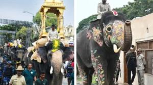 ಮೈಸೂರು ದಸರಾ: ಅಂಬಾರಿ ತಾಲೀಮಿನಲ್ಲೇ ಮಹೇಂದ್ರಗೆ ಸಂಕಷ್ಟ, ಕ್ಯಾಪ್ಟನ್ ರೇಸ್‌ನಿಂದ ಔಟ್?