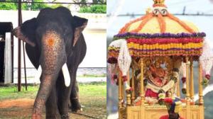 ಮೈಸೂರು ದಸರಾಕ್ಕೆ ಹೊಸ ಕ್ಯಾಪ್ಟನ್ ಸಿದ್ಧ? ಧನಂಜಯನತ್ತ ಎಲ್ಲರ ಚಿತ್ತ